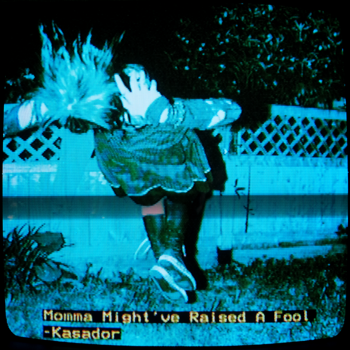 Momma Might've Raised A Fool - Vinyl PREORDER