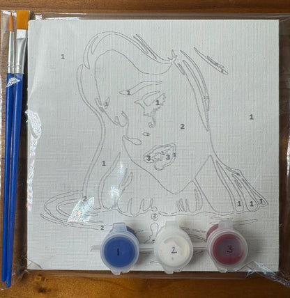 Life is "paint by numbers" Kit