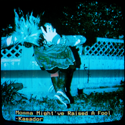 Momma Might've Raised A Fool - Vinyl PREORDER